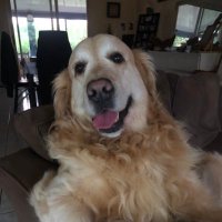 mango (@coqueletjany) 's Twitter Profile
