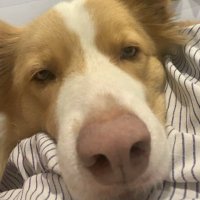 Milly Grech (@grechmilly) 's Twitter Profile