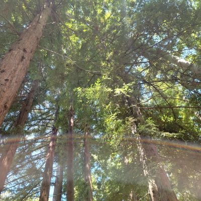 mdcdelg's profile picture. 