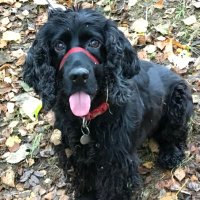 Cranswick Gdn centre (@cranswickgc) 's Twitter Profile