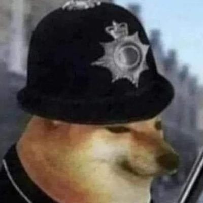 memetech02_22's profile picture. 