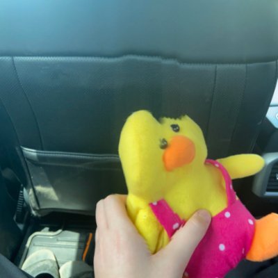 Zwischenzugzwa1's profile picture. I like and retweet stuff