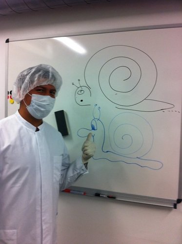 Salvador Castaneda Profile