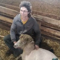 Jay Lennox (@lennoxjay) 's Twitter Profile