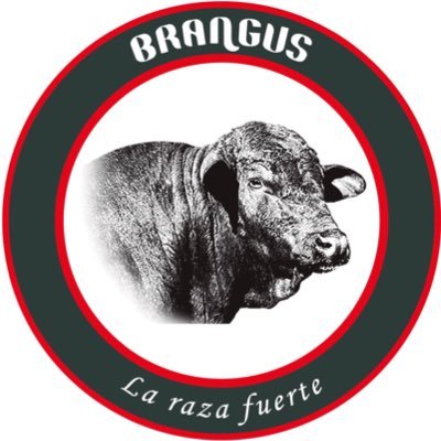 Sociedad de Criadores de Brangus del Uruguay.