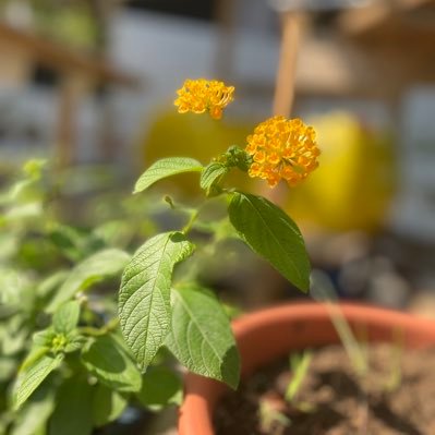 RwoxqSj's profile picture. 