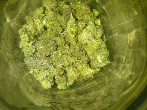 dirty46th's profile picture. Hey hey heyheya hey smoke weed everyday