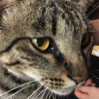 OKT🍃🥜 (@gamexymvtube) 's Twitter Profile Photo