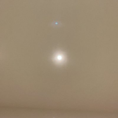 vitalichoum's profile picture. 