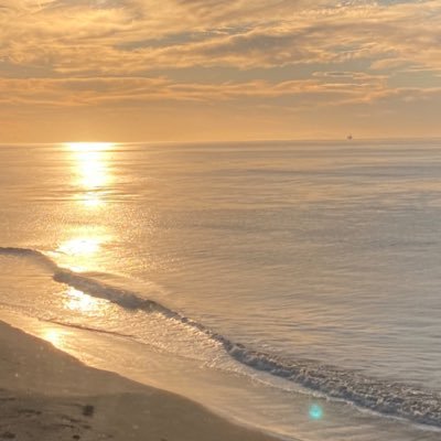 SarahHilario5's profile picture. 