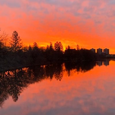 Blue_MG12's profile picture. social justice. kind to people. hockey fan