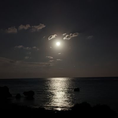 fortyum's profile picture. 某指定国立大の修士卒理系→某メーカー研究開発職