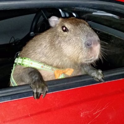 0onyc's profile picture. 