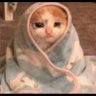 yudeldm's profile picture. 