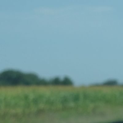 laurtao's profile picture. 