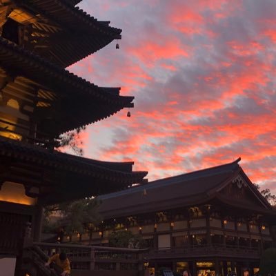 carlosgdv21's profile picture. 🇵🇷¡Boricua!🇵🇷