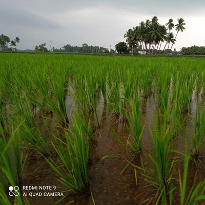 தனிமையில் சிவமயம்