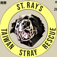 St.Ray's ๐น๐ผ (@strays_rescue) 's Twitter Profile Photo St.Ray's ๐น๐ผ (@strays_rescue) 's Twitter Profile Photo