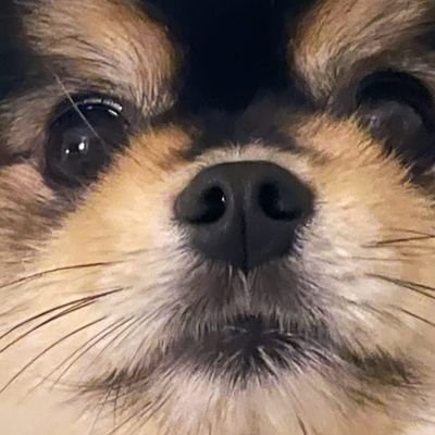 daintyさんのプロフィール画像