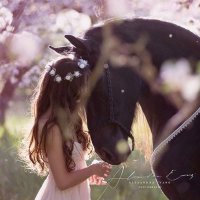 Rahooom242 (@rahoom2422) 's Twitter Profile