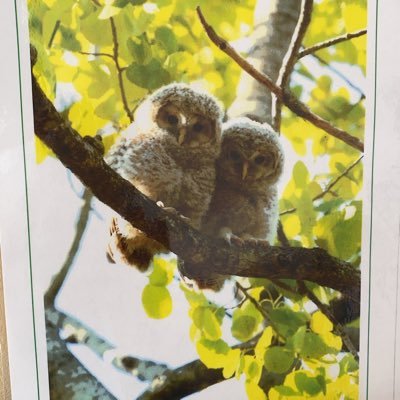 pioneer502005's profile picture. 本業：英会話講師、英語名言の収集家、執筆活動