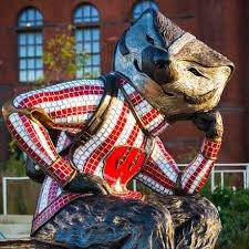 buckyba68167266's profile picture. A lifetime badger!