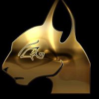 😼 Bastet Promotions 😼(@BastetPromotio1) 's Twitter Profile Photo