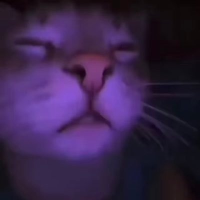 zen_TFN's profile picture. Collector of fine art and memorabilia