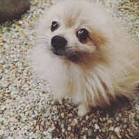 ぽんた〜やっし。 (@louisvu51979704) Twitter profile photo