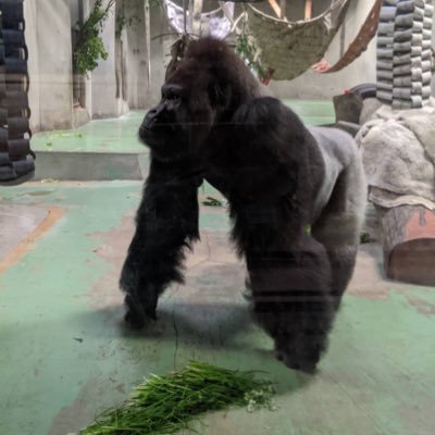 TpxTMltAD1tfvBP's profile picture. 