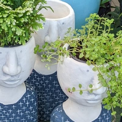 peter_d_lewin's profile picture. welcome or whatever