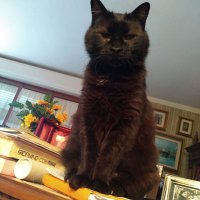Eve Golliard 🔥❤️🩹🧱💤🗣️🎱⚕️ (@egolliard) 's Twitter Profile Photo Eve Golliard 🔥❤️🩹🧱💤🗣️🎱⚕️ (@egolliard) 's Twitter Profile Photo