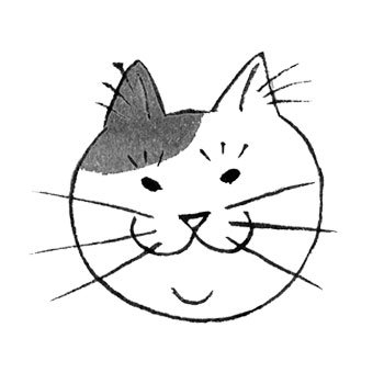 gatodamo Profile Picture