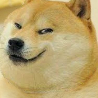 NameIsKashyap's profile picture. None..