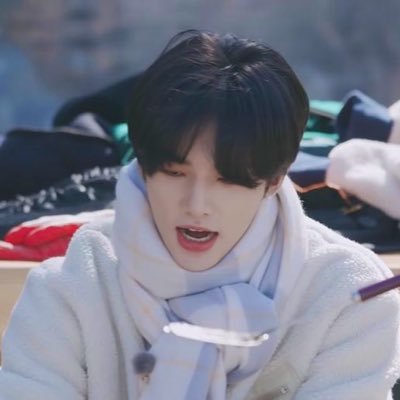 skizeuskz's profile picture. straykids twice
