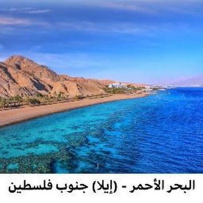 samihyassin9's profile picture. المثابرة