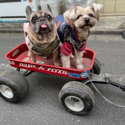 ishiyanomon's profile picture. 64歳でもまだまだ挑戦中💪 ジム通いとバイクが生きがい🏍 革ジャンとアメカジに囲まれてご機嫌👖 たまに海釣りで魚に遊ばれてます🎣笑 健康おやじ、今日も元気に発信中！