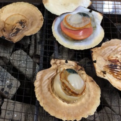 happy_montys's profile picture. 