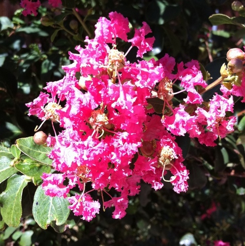 Leebt3's profile picture. Christian, conservative, treat others as treat me, lover of chocolate and my country.