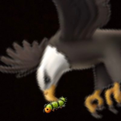 @Almighty__Bird1