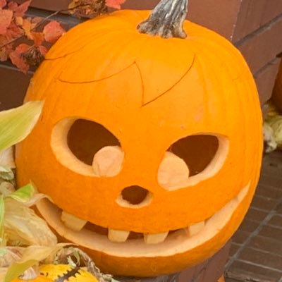 pixivに性癖(人外モノ全般+寄生乗っ取り擬態モノ稀に皮モノ、遊戯王OCG・千年戦争アイギスetc…)に正直なR-18絵を投稿してます。 pixiv https://t.co/Hf8gQR0D5A でも基本的にはイチャラブ派です。 ※絵を描いてない時はイラストいいねbotになってます