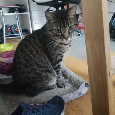 Clara34100086's profile picture. Entre France et Brésil/
Entre Brasil e França.