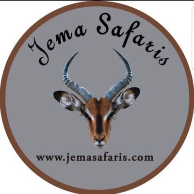 Jema Safaris
