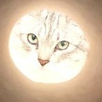 Hideakikoo3🐱 (@hideakikoo3) 's Twitter Profile
