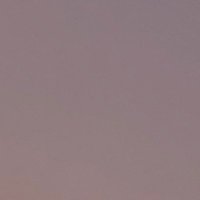Popplsiisi (@popplsiisi) 's Twitter Profile