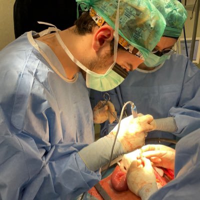 MD, General Surgery Resident @PancreasVerona