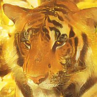 David L.๐
๐ (@davidl31080469) 's Twitter Profile