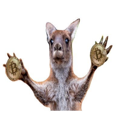 crypto Kangaroo