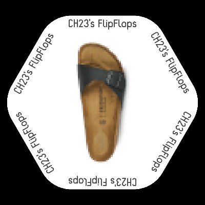 CH23sFlipFlops Profile Picture