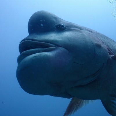 趣味アカです 最近、とあるYouTubeを見て料理にハマってしまった… ワイリフとTFTどハマり中 フレ→「あやぽん#7130」